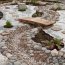 Dry Stream In Landscape Design With Your Hands