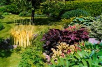 Стили сада в ландшафтном дизайне - Стили садов в ландшафтном дизайне