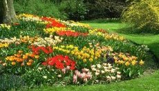 клумба миксбордер