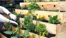 многоуровневая клумба