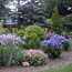 Irises In The Landscape Design Of The Garden Photo