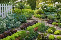 Beautiful Garden And Garden Design