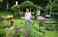 Landscape Design Of Garden And Garden Photo