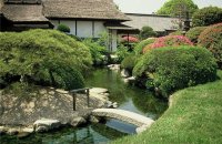 Basics Of Landscape Design For Gardening