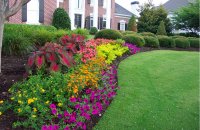 Sand Landscape Designs