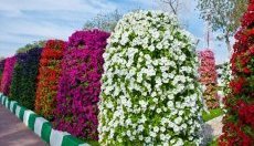 вертикальная клумба